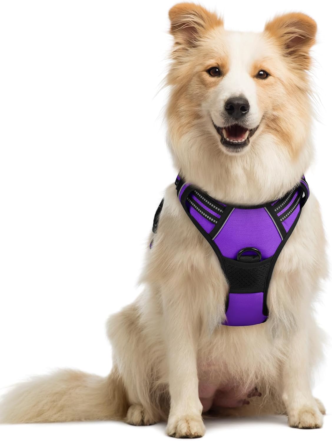 Medium rabbitgoo Dog Harness No Pull with 2 Leash Clips, Adjustable Soft Padded, Reflective Oxford No Choke Pet Vest with Easy Control Handle for Medium Sized Dogs, Purple, M